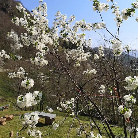 Le Rive Nel Bosco Capo di Ponte