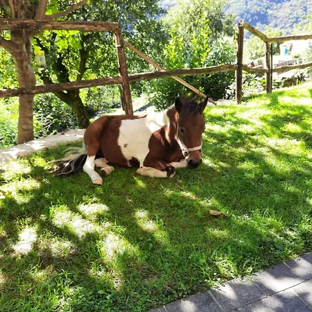 Le Rive Nel Bosco Nyaraló Capo di Ponte
