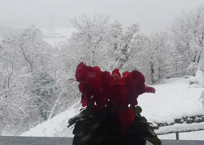 Dom wakacyjny Le Rive Nel Bosco Capo di Ponte